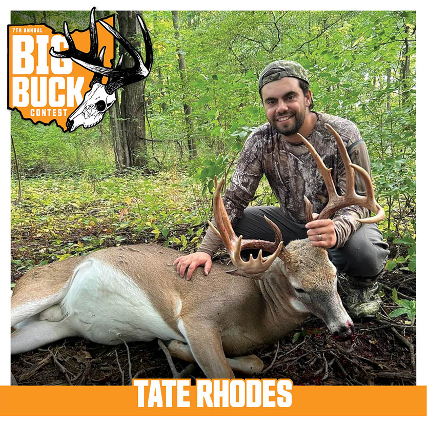 Tate Rhodes